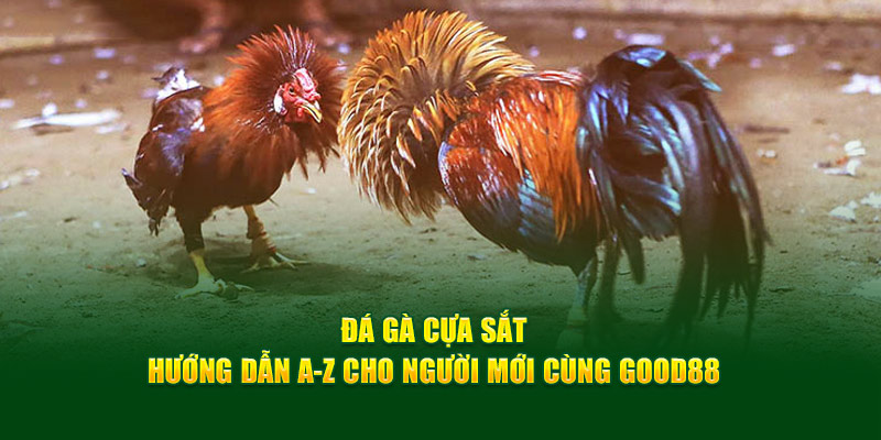 Đá Gà Cựa Sắt: Hướng Dẫn A-Z Cho Người Mới Cùng GOOD88