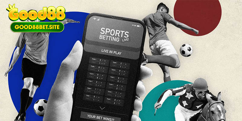 Các tỷ lệ kèo được dân bet chuộng nhất hiện nay