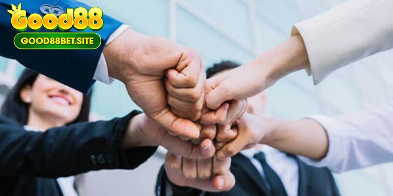 Hỗ trợ marketing và quảng cáo 